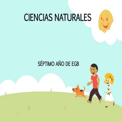 Sustancias puras  mezclas