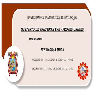 SUSTEN. PRACTICAS EDWIN COLQUE SENCIA.pptx