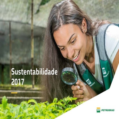 Sustentabilidade 2017