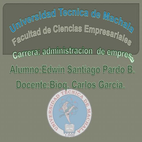 Sustentacion proyecto de vida