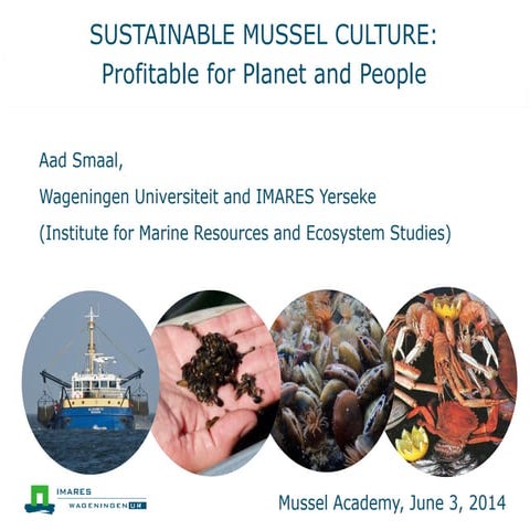 Sustainable Mussel Culture