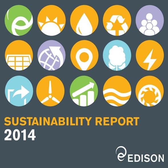 Sustainability report 2014