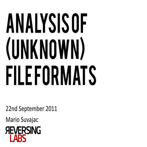 Analysis of (unknown) file formats
