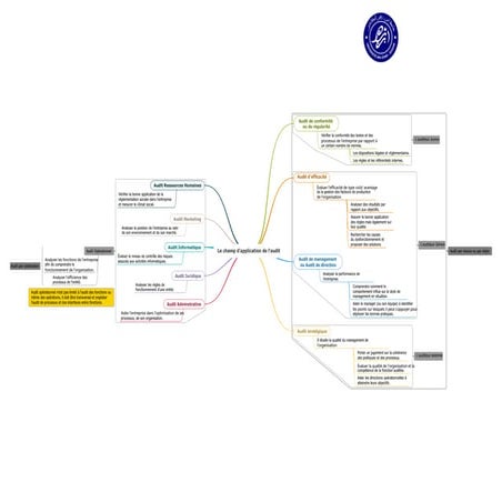 Le champ d'application de l'audit | PDF