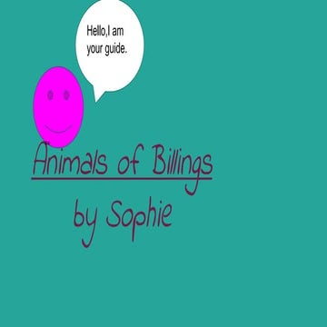 Sophie's Animals