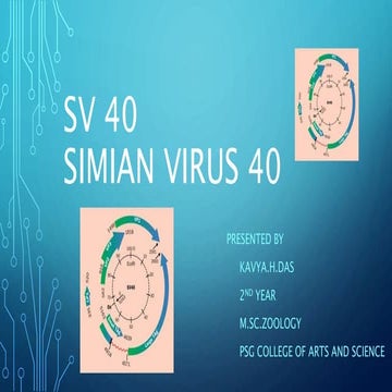 Sv 40