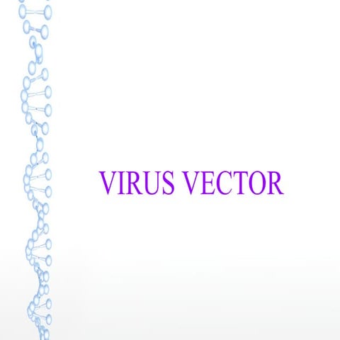 Baculovirus expression vector system | PPTX