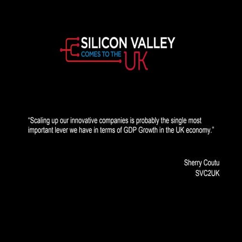 SVC2UK 2013 tips for scaling up your business