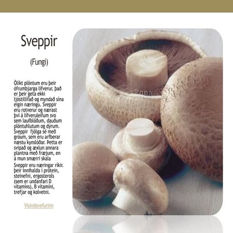 Sveppir | PDF