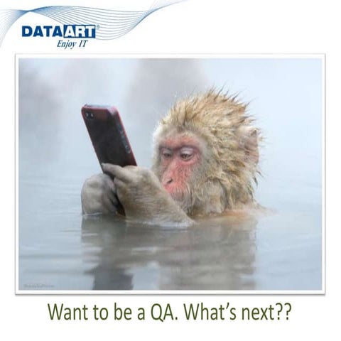 Want to be a QA? What's next?