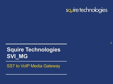 Squire Technologies: Media Gateway