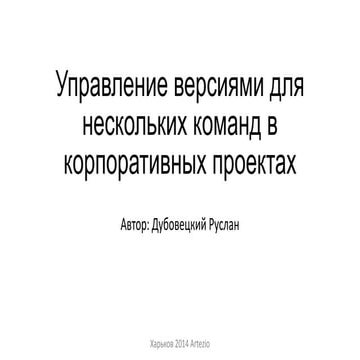 Svn rule in_team_project