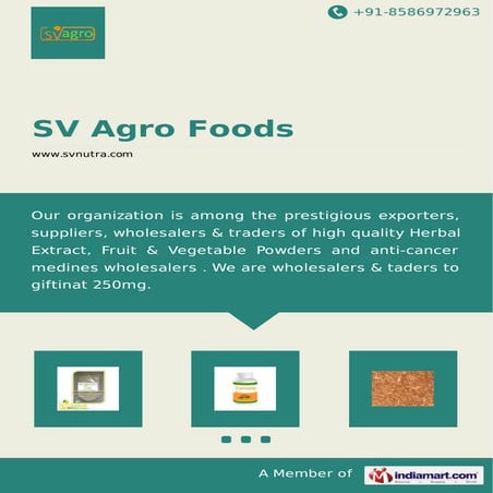 SV Agro Foods, New Delhi, Herbal Extract