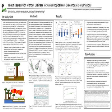 Process-based modelling of peat greenhouse gas emissions in Indonesian ...