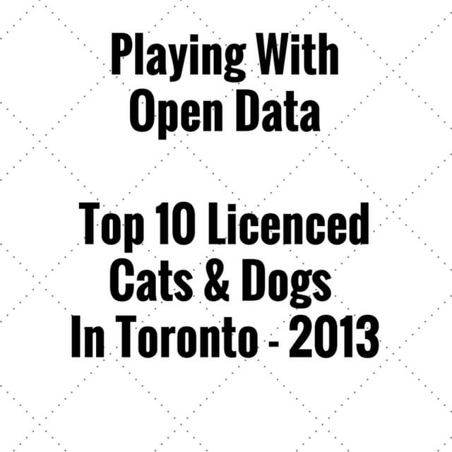 2013 Toronto - Licenced Cats and Dogs 