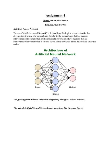 Swarm assignment 1