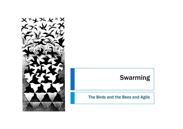 Swarming Panchal Agile2008