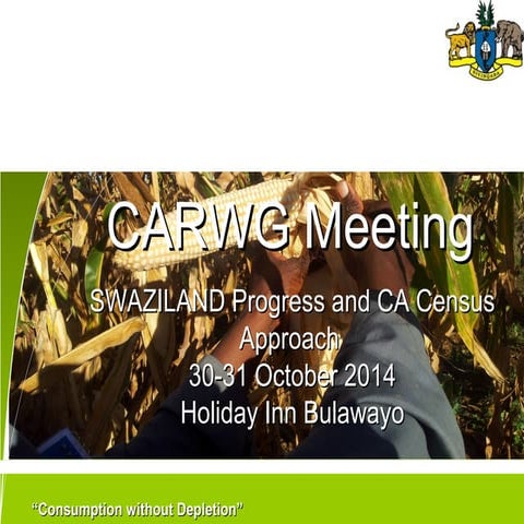 Conservation Agricultre Working Group Meeting: Swaziland Progress and CA census