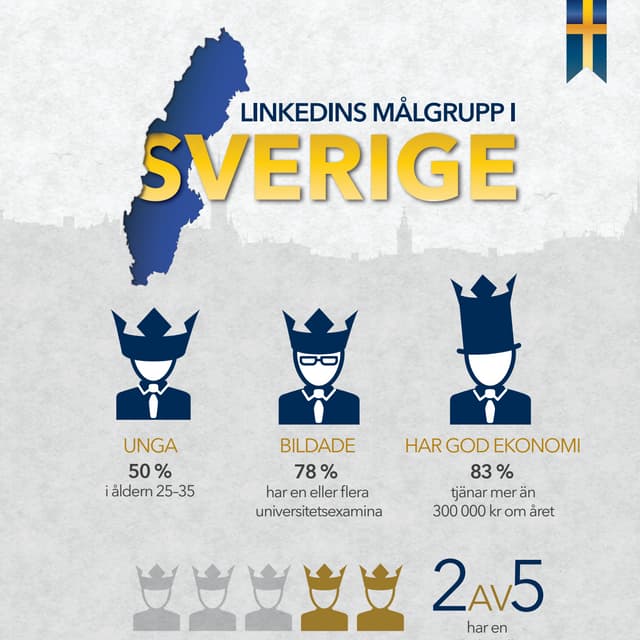 LINKEDINS MÅLGRUPP I SVERIGE
