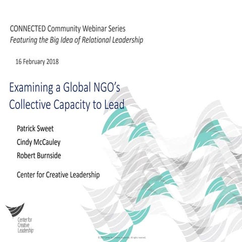 Examining a global NGO’s collective capacity to lead