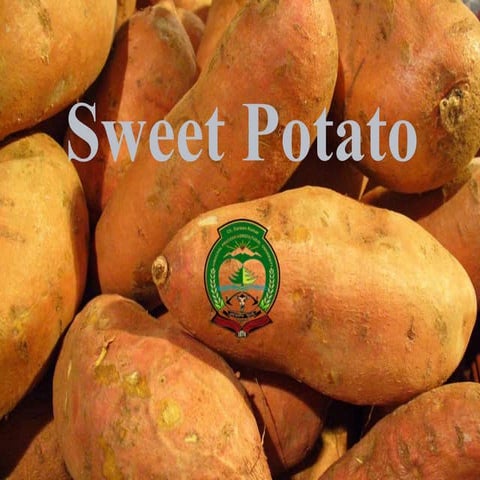 Sweet potato