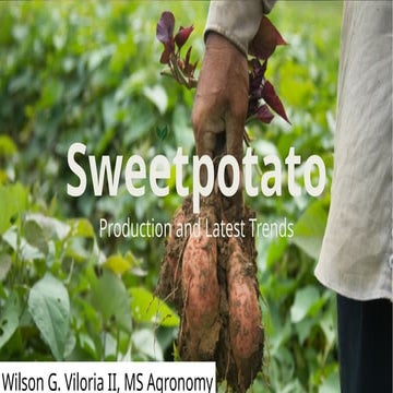 Sweetpotato Latest Production Technologies | PPTX
