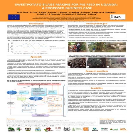 Sweetpotato silage making for pig feed in Uganda: A proposed business case