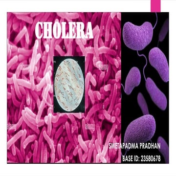 sweta infectious disease presentation on cholera