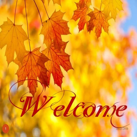 system of wheat intensification