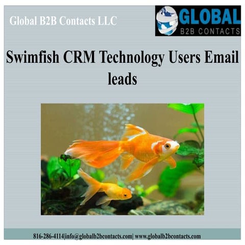 Swimfish crm technology users email leads