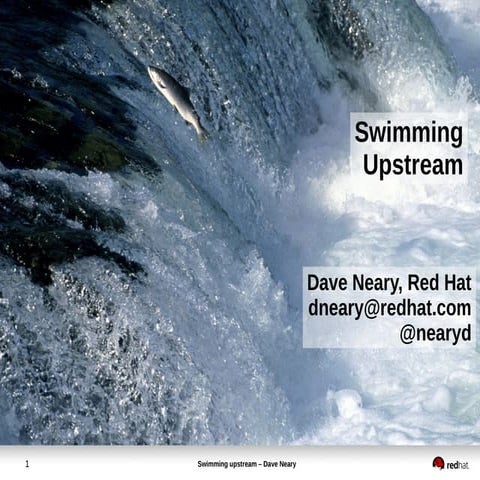 Swimming upstream