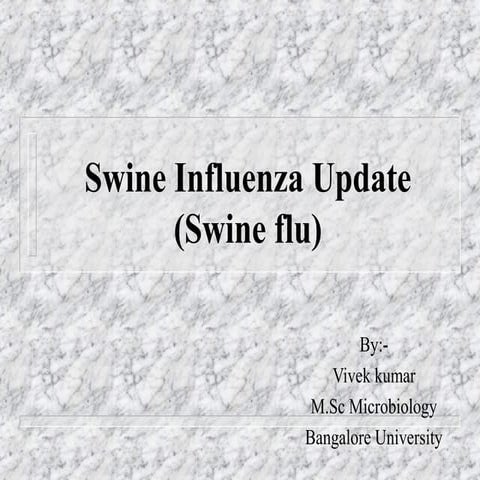 Swine flu 