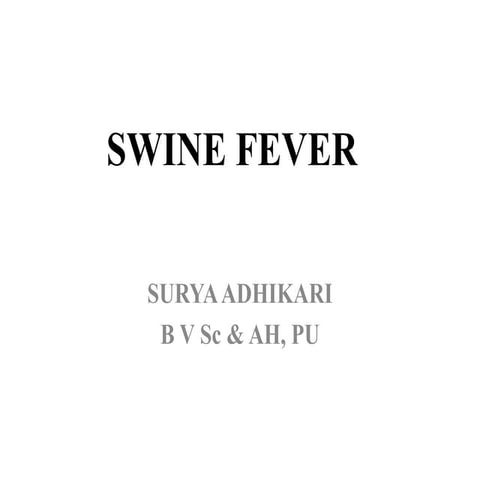 Swine fever