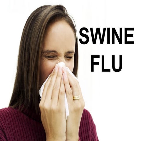 Swine Flu