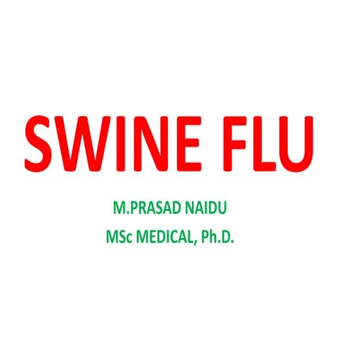 Swine Flu 