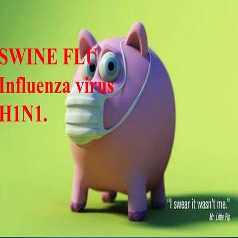 Swine flu 