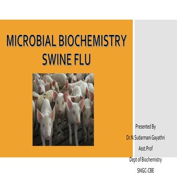 Swine flu