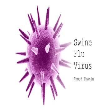 H1N1 flu (swine flu) overview