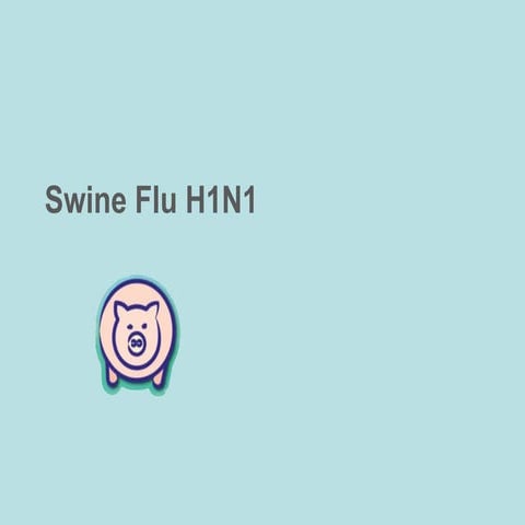 Swine Flu H1 N1