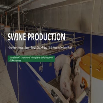 Swine Production.pptx