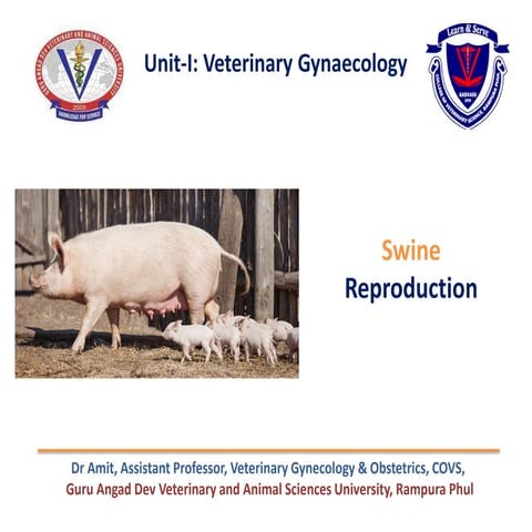 Swine-Reproduction-and-Production-Management.ppt