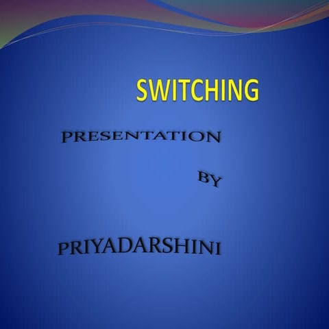switching technique in computer networks
