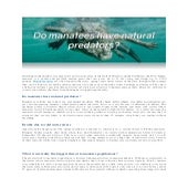 Do Manatees Have Natural Predators?