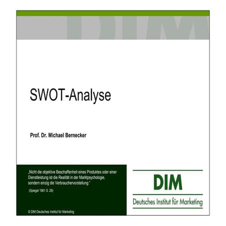 SWOT-Analyse Prof. Dr. Bernecker
