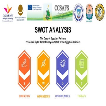 SWOT Analysis: The Case of Egyptian Partners | PDF