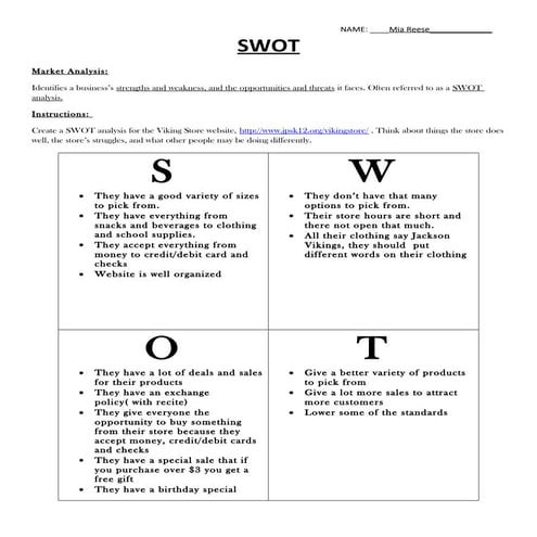 Swot viking store_website | DOC