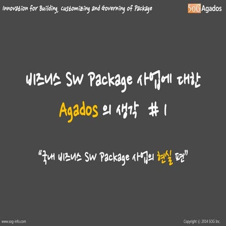 비즈니스 SW Package 사업에 대한 Agados 의 생각   01