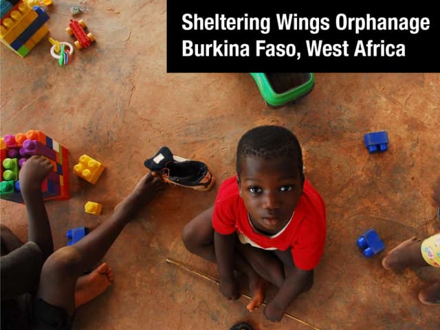 Sheltering Wings