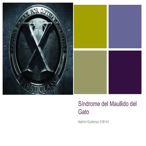 Síndrome del maullido de gato