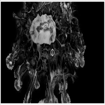 [SxSW 2014] a brief presentation